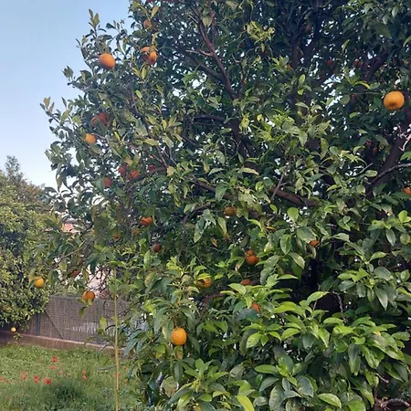 De Vue Διαμέρισμα